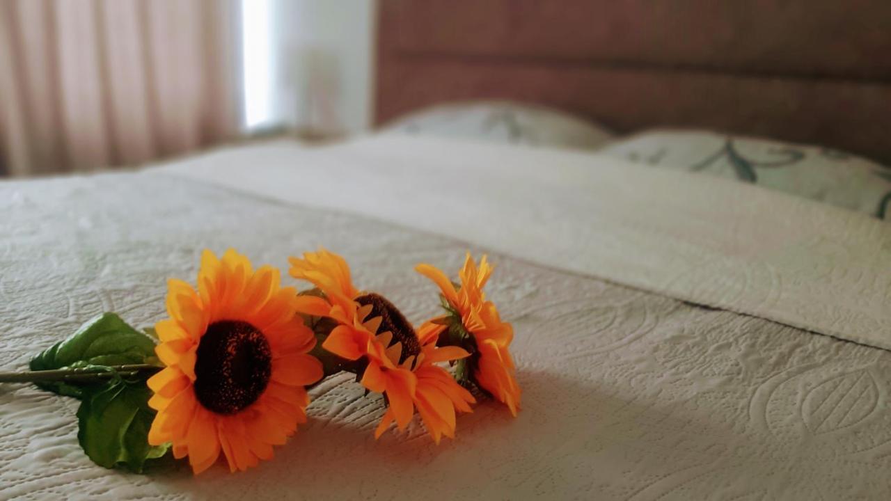 Sunshine Apartment Крагуевац Екстериор снимка